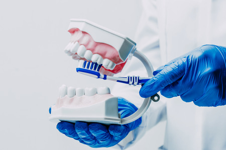 Dentist medical toolsの写真素材