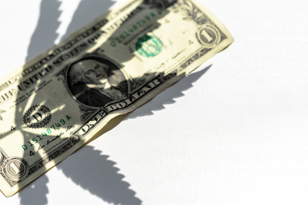 cannabis leaf and moneyの写真素材