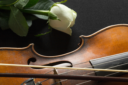 Violin and rose on black background.の写真素材