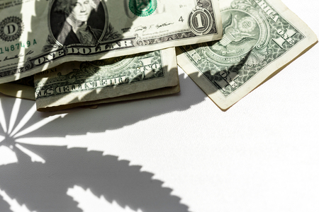 cannabis leaf and moneyの写真素材