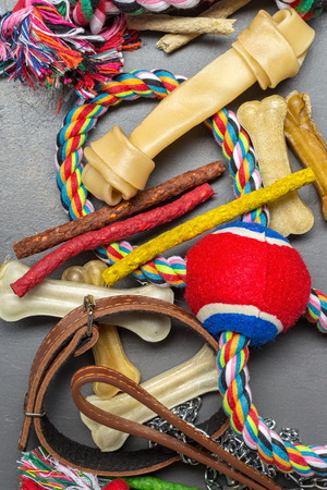 Pet accessories, food, toy. Top viewの写真素材