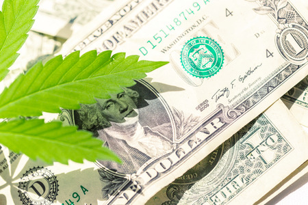 cannabis leaf and moneyの写真素材