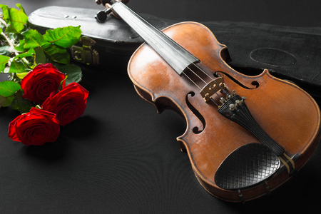 Violin and rose on black background.の写真素材