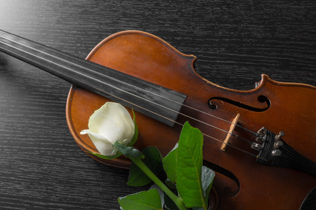Violin and rose on black background.の写真素材