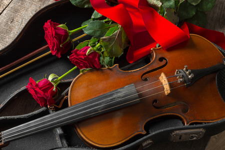 Red roses and a violinの写真素材