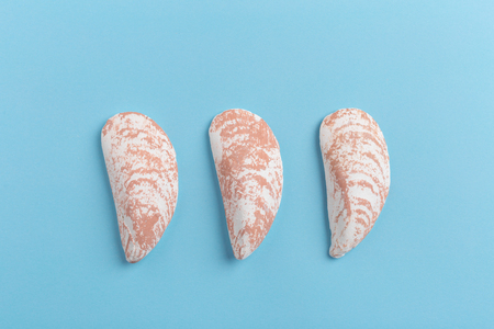 seashells on a bright background