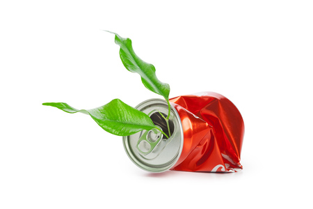 can with green leaves inside isolated