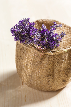 Fresh lavender on woodの写真素材