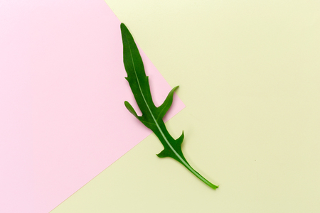 Green leavesの写真素材