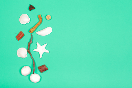 Tropical Background. Seashell on colourful trendy modern fashion background.