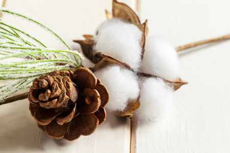 Christmas holidays ornamentの写真素材