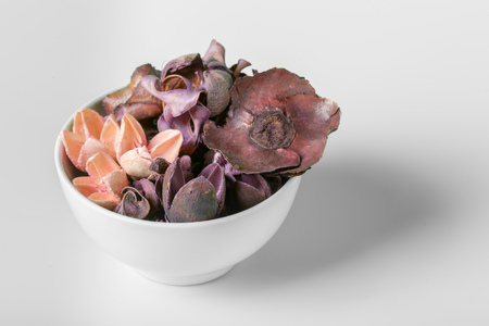 set of dry autumn plants and leaves, dried petals and flowers, simple rustic branches and wheat bunch on whiteの写真素材