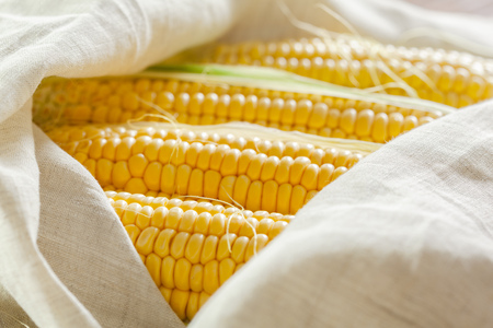 corn background