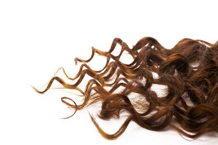 Curly Brown Hair isolated on Whiteの写真素材