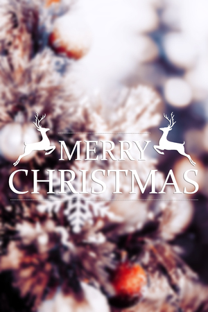 merry Christmas and happy newの写真素材