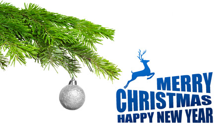 Merry christmas  congratulation cardの写真素材