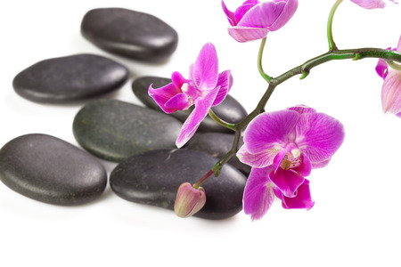 zen stone and orchid. spa conceptの写真素材