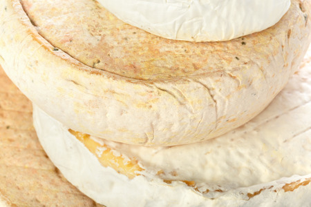 mix cheese close upの写真素材