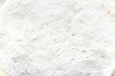 cheese close upの写真素材