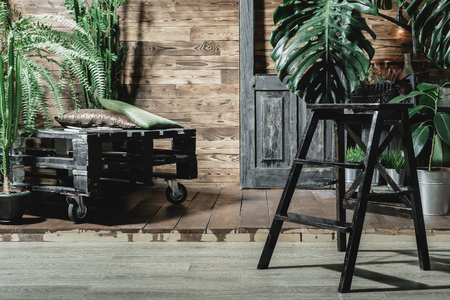 Composition of tropical leavesの写真素材