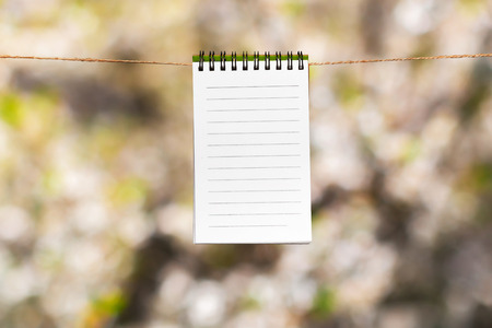 Blank paper notes with copy space pinned on ropeの写真素材