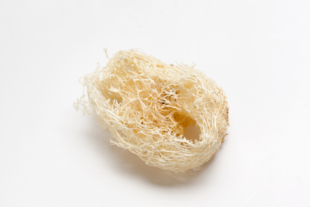 Dried florist supplies. Dried decoration plantsの写真素材