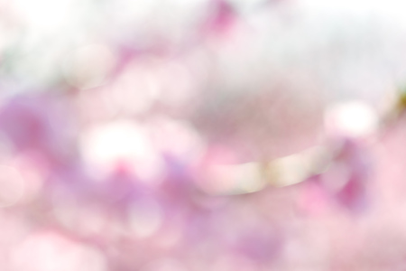 Pink spring backgroundの写真素材