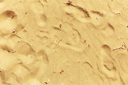 sunny sand beachの写真素材