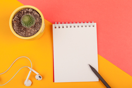 Succulent plant and blank notebook paperの写真素材