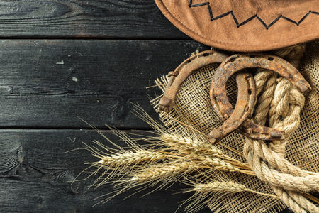 American West still life with old horseshoeの写真素材
