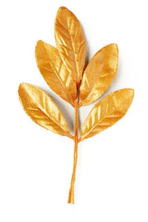 golden leaf design elements.の写真素材