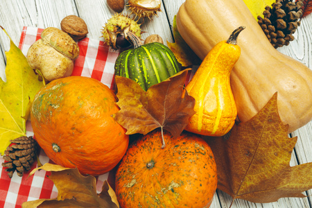 Pumpkin on old rustic wooden table.の写真素材