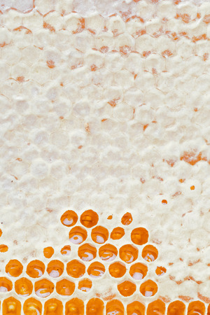 Honeycombs with honey. Natural background.の写真素材
