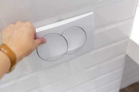 Economic toilet flush press with two separate buttons