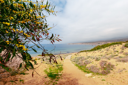 Tropical coast, beachの写真素材
