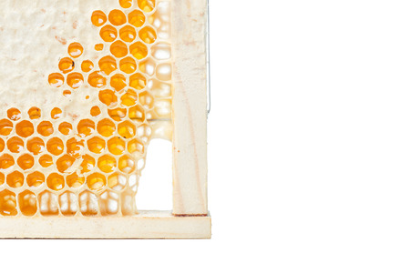 Sweet honeycomb isolated on whiteの写真素材
