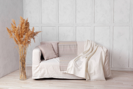 Scandinavian style livingroom with fabric sofa, pillows, plaid and  plant in vase on grey wall...
