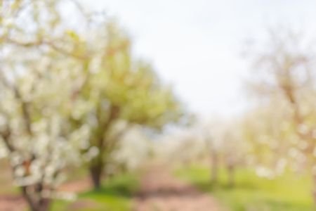 Blurred background abstractの写真素材