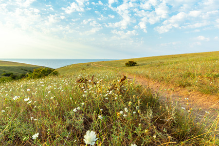 Blue sky and beautiful cloud. Plain landscape backgroundの写真素材