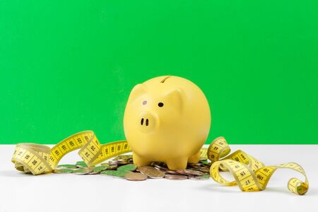 piggy bank with coin on the tableの写真素材