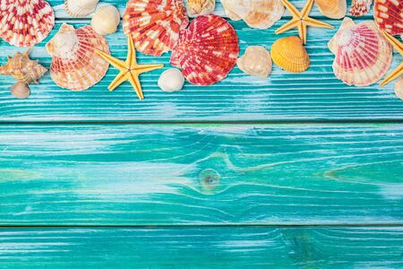 Different sea shells on color wooden background