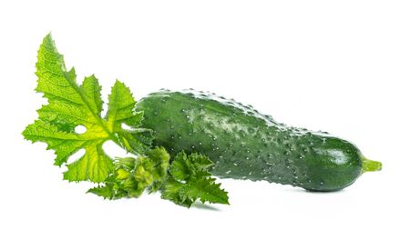 Cucumbers with leaves on white background.の写真素材