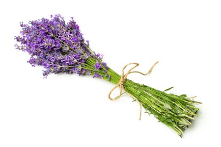 Lavender flowers on white backgroundの写真素材