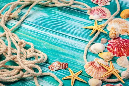 Different sea shells on color wooden backgroundの写真素材