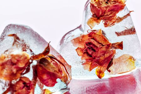 Frozen rose in ice cube creative photo.の写真素材