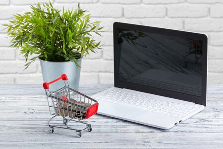 Money coin in mini shopping cart or trolley. Close up.の写真素材