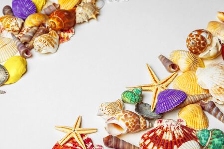 Composition of exotic seashells. Close up.の写真素材