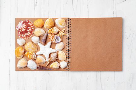 Open notepad with sea shells on white wooden background, top viewの写真素材