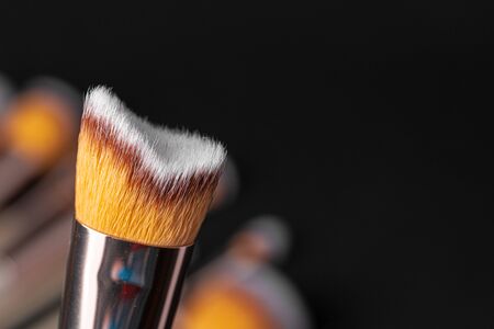 Professional dark make up brushの写真素材