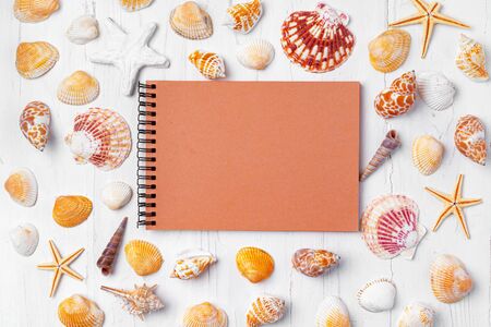 Open notepad with sea shells on white wooden background, top viewの写真素材